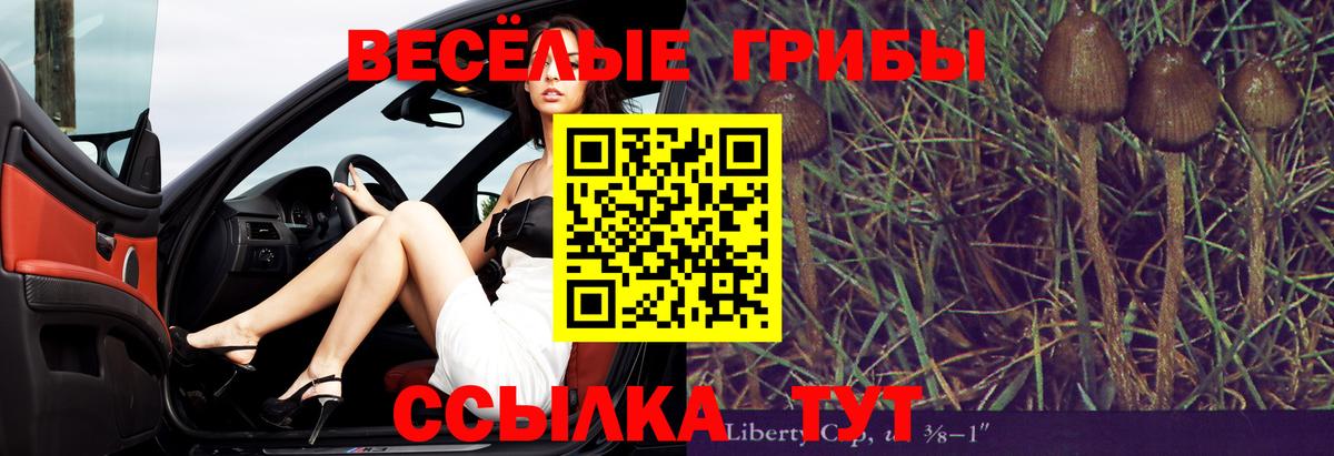 Галлюциногенные грибы ЛСД Верхняя Пышма