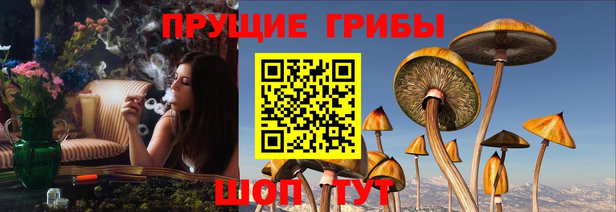 Верхняя Пышма  Галлюциногенные грибы MAGIC MUSHROOMS  Вход с VPN 